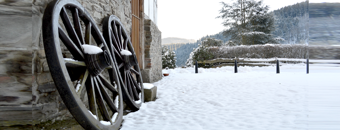 Altes Holzrad vor dem Bauernhaus Wippekühl im Schnee