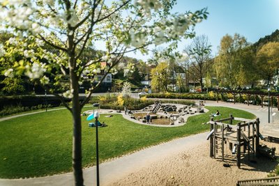 Volmepark mit Rasenfläche, Spielgerät, Weg und großem Baum
