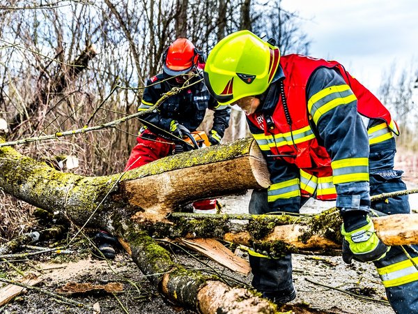 Zwei Feuerwehrmänner beseitigen einen umfallenden Baum