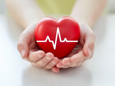 Zwei Hände halten ein Herz mit aufgedruckter EKG-Zeichnung