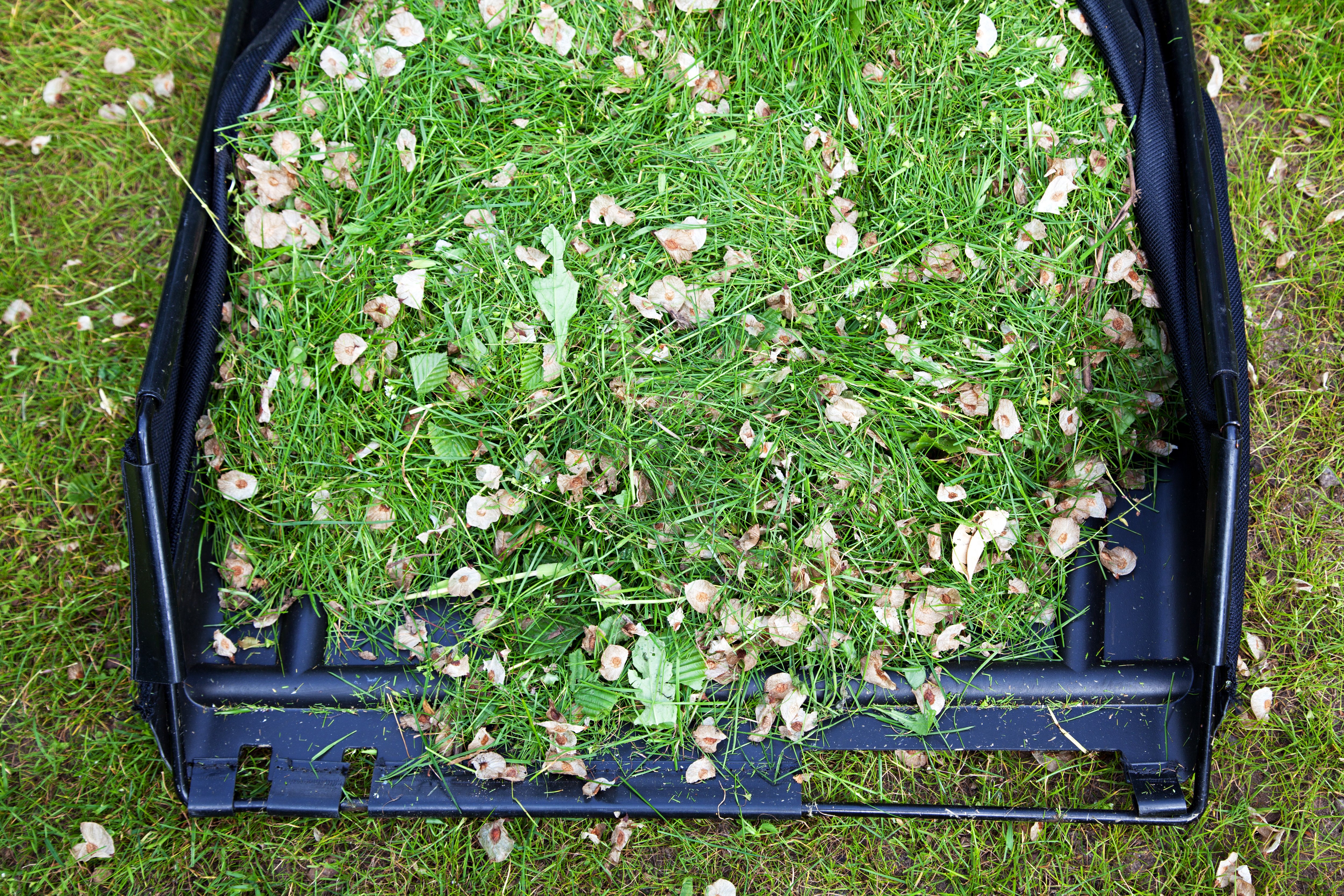 Grasschnitt ist in einem schwarzen Behälter gesammelt